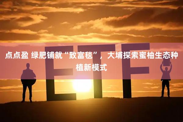 点点盈 绿肥铺就“致富毯”，大埔探索蜜柚生态种植新模式