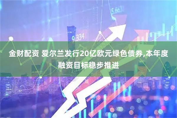 金财配资 爱尔兰发行20亿欧元绿色债券,本年度融资目标稳步推进