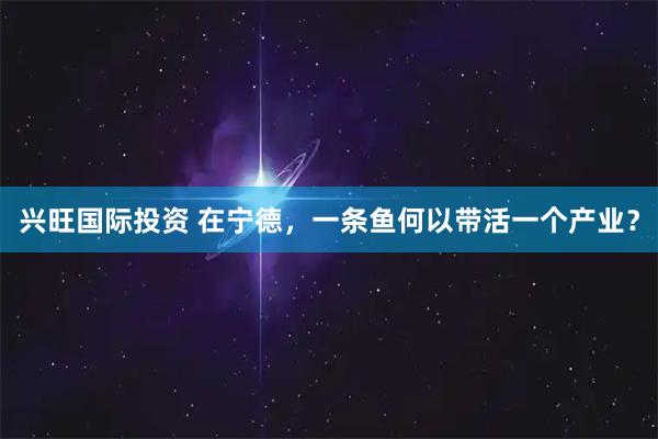 兴旺国际投资 在宁德，一条鱼何以带活一个产业？